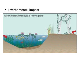 • Environmental impact