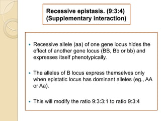 Recessive epistasis. (9:3:4)
         (Supplementary interaction)



   Recessive allele (aa) of one gene locus hides the
    effect of another gene locus (BB, Bb or bb) and
    expresses itself phenotypically.

   The alleles of B locus express themselves only
    when epistatic locus has dominant alleles (eg., AA
    or Aa).

   This will modify the ratio 9:3:3:1 to ratio 9:3:4
 