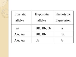 Epistatic   Hypostatic   Phenotypic
alleles      alleles     Expression

 aa         BB, Bb, bb      a
AA, Aa      BB, Bb          B
AA, Aa      bb              b
 