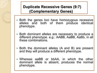 Duplicate Recessive Genes (9:7)
         (Complementary Genes)

   Both the genes loci have homozygous recessive
    alleles and both of them produce identical
    phenotype.

   Both dominant alleles are necessary to produce a
    different phenotype. e.g.: AABB, AaBB, AaBb, in all
    these combinations.

   Both the dominant alleles (A and B) are present
    and they will produce a different phenotype.

   Whereas aaBB or bbAA, in which the other
    dominant allele is absent, produces the normal
    phenotype.
 
