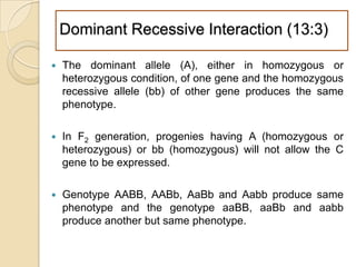 Dominant Recessive Interaction (13:3)

   The dominant allele (A), either in homozygous or
    heterozygous condition, of one gene and the homozygous
    recessive allele (bb) of other gene produces the same
    phenotype.

   In F2 generation, progenies having A (homozygous or
    heterozygous) or bb (homozygous) will not allow the C
    gene to be expressed.

   Genotype AABB, AABb, AaBb and Aabb produce same
    phenotype and the genotype aaBB, aaBb and aabb
    produce another but same phenotype.
 