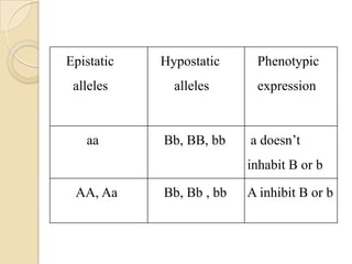 Epistatic   Hypostatic     Phenotypic
 alleles      alleles      expression


   aa       Bb, BB, bb    a doesn’t
                          inhabit B or b

 AA, Aa     Bb, Bb , bb   A inhibit B or b
 