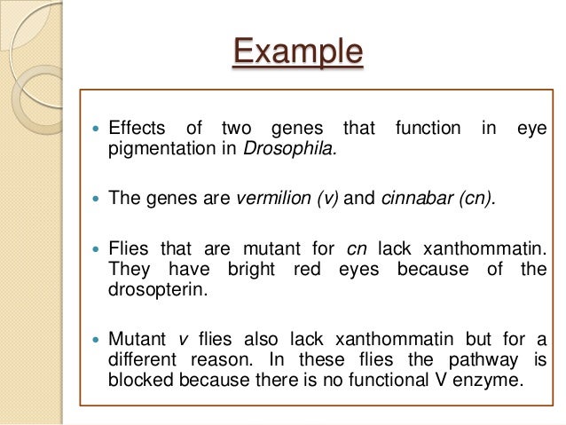 Epistasis
