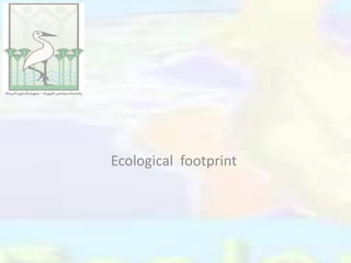 Ecological footprint
 