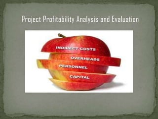 Project Profitability Analysis and Evaluation
 