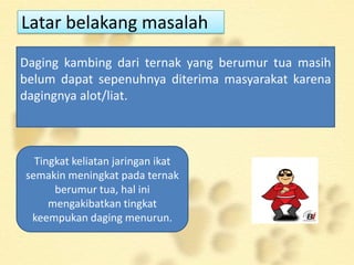 Latar belakang masalah
Daging kambing dari ternak yang berumur tua masih
belum dapat sepenuhnya diterima masyarakat karena
dagingnya alot/liat.



  Tingkat keliatan jaringan ikat
semakin meningkat pada ternak
      berumur tua, hal ini
     mengakibatkan tingkat
 keempukan daging menurun.
 