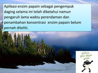Aplikasi enzim papain sebagai pengempuk
daging selama ini telah diketahui namun
pengaruh lama waktu perendaman dan
penambahan konsentrasi enzim papain belum
pernah diteliti.
 