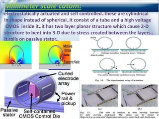 Millimeter scale catom:
electrostatically actuated and self controlled..these are cylindrical
in shape instead of spherical..it consist of a tube and a high voltage
 CMOS inside it..it has two layer planar structure which cause 2-D
structure to bent into 3-D due to stress created between the layers..
it rolls on passive stator..
 