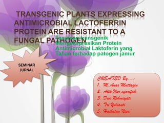 TRANSGENIC PLANTS EXPRESSING
ANTIMICROBIAL LACTOFERRIN
PROTEIN ARE RESISTANT TO A
         Tanaman transgenik
FUNGAL PATHOGEN
         Mengekspresikan Protein
           Antimicrobial Laktoferin yang
           Tahan terhadap patogen jamur

 SEMINAR
  JURNAL

                          CREATED By...:
                          1. M.Anas Muttaqin
                          2. Atik Nur syarifah
                          3. Dwi Rohmiyati
                          4. Tri Yulianti
                          5. Haibatun Nisa’
 