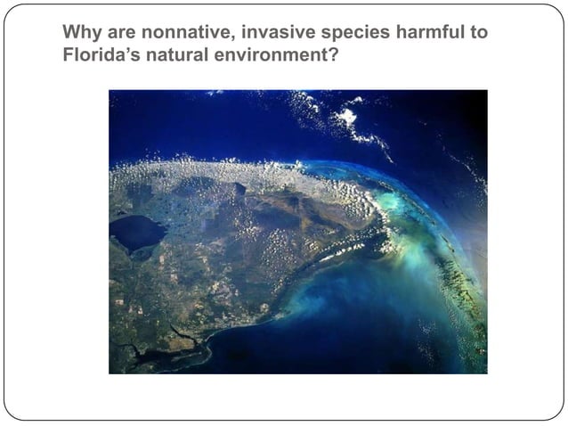 Environmental Impact of Invasive Species on The Florida Everglades | PPT