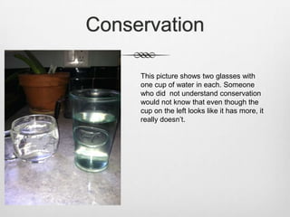 Conservation

     This picture shows two glasses with
     one cup of water in each. Someone
     who did not understand conservation
     would not know that even though the
     cup on the left looks like it has more, it
     really doesn’t.
 