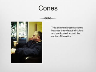 Cones

   This picture represents cones
   because they detect all colors
   and are located around the
   center of the retina.
 