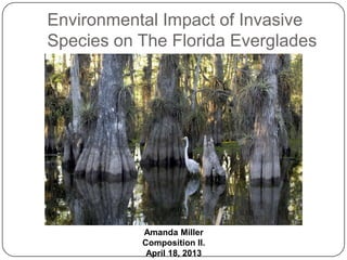 Environmental Impact of Invasive
Species on The Florida Everglades




           Amanda Miller
           Composition II.
            April 18, 2013
 