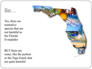 Invasive Species in The Florida Everglades | PPTX