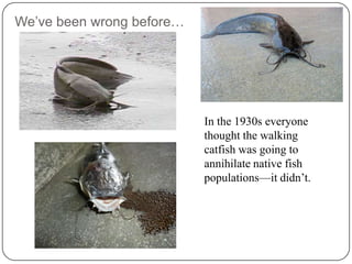 Invasive Species in The Florida Everglades | PPTX
