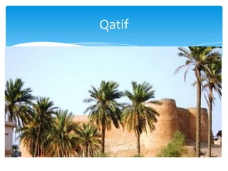Qatif
 