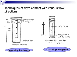 chromatography | PPT