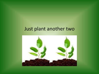 Just plant another two
 