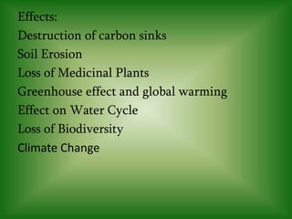Effects:
Destruction of carbon sinks
Soil Erosion
Loss of Medicinal Plants
Greenhouse effect and global warming
Effect on Water Cycle
Loss of Biodiversity
Climate Change
 