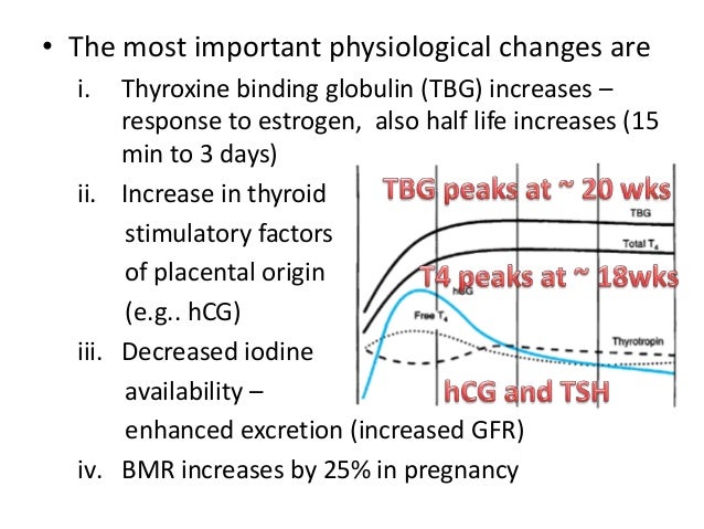 Endocrine disorders in Pregnancy