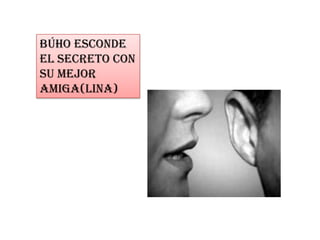 Búho esconde
el secreto con
su mejor
amiga(lina)