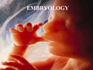 EMBRYOLOGY
 