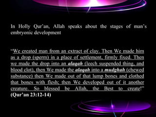“We created man from an extract of clay. Then We made him
as a drop (sperm) in a place of settlement, firmly fixed. Then
we made the drop into an alaqah (leech suspended thing, and
blood clot), then We made the alaqah into a mudghah (chewed
substance) then We made out of that lump bones and clothed
that bones with flesh; then We developed out of it another
creature. So blessed be Allah, the Best to create!”
(Qur’an 23:12-14)
In Holly Qur‟an, Allah speaks about the stages of man‟s
embryonic development
 