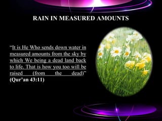 RAIN IN MEASURED AMOUNTS
“It is He Who sends down water in
measured amounts from the sky by
which We being a dead land back
to life. That is how you too will be
raised (from the dead)”
(Qur’an 43:11)
 
