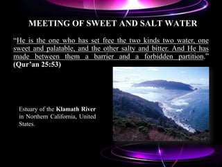 MEETING OF SWEET AND SALT WATER
Estuary of the Klamath River
in Northern California, United
States.
“He is the one who has set free the two kinds two water, one
sweet and palatable, and the other salty and bitter. And He has
made between them a barrier and a forbidden partition.”
(Qur’an 25:53)
 