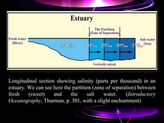 Longitudinal section showing salinity (parts per thousand) in an
estuary. We can see here the partition (zone of separation) between
fresh (sweet) and the salt water. (Introductory
Oceanography, Thurman, p. 301, with a slight enchantment)
 