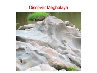 Discover Meghalaya
 