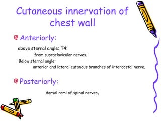 Cutaneous innervation of
chest wall
Anteriorly:
above sternal angle; T4:
from supraclavicular nerves.
Below sternal angle:
anterior and lateral cutanous branches of intercostal nerve.
Posteriorly:
dorsal rami of spinal nerves.
 