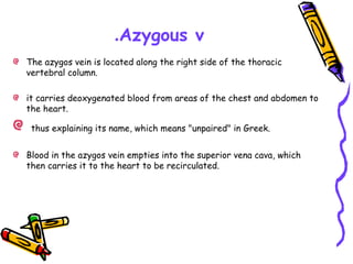 Azygous v.
The azygos vein is located along the right side of the thoracic
vertebral column.
it carries deoxygenated blood from areas of the chest and abdomen to
the heart.
thus explaining its name, which means "unpaired" in Greek.
Blood in the azygos vein empties into the superior vena cava, which
then carries it to the heart to be recirculated.
 
