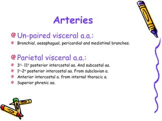 Arteries
Un-paired visceral a.a.:
Bronchial, oesophagual, pericardial and medistinal branches.
Parietal visceral a.a.:
3rd
- 11th
posterior intercostal aa. And subcostal aa.
1st
-2nd
posterior intercostal aa. From subclavian a.
Anterior intercostal a. from internal thoracic a.
Superior phrenic aa.
 