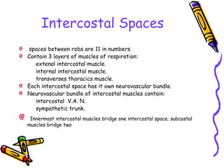 Intercostal Spaces
spaces between robs are 11 in numbers.
Contain 3 layers of muscles of respiration:
extenal intercostal muscle.
internal intercostal muscle.
transverses thoracics muscle.
Each intercostal space has it own neurovascular bundle.
Neurovascular bundle of intercostal muscles contain:
intercostal V.A. N.
sympathetic trunk.
Innermost intercostal muscles bridge one intercostal space; subcostal
muscles bridge two
 