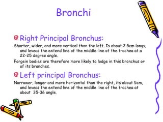 Bronchi
Right Principal Bronchus:
Shorter, wider, and more vertical than the left. Is about 2.5cm longs,
and leveas the extend line of the middle line of the trachea at a
22-25 degree angle.
Forgein bodies are therefore more likely to lodge in this bronchus or
of its branches.
Left principal Bronchus:
Narrower, longer and more horizontal than the right, its about 5cm,
and leveas the extend line of the middle line of the trachea at
about 35-36 angle.
 