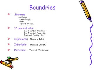 Boundries
Sternum:
manibrum.
sternal angle.
body.
oxphoid process.
12 pairs of ribs:
6 or 7 pairs of true ribs.
3 or 4 pairs of false ribs.
2 pairs of floating ribs.
Superiorly: Thoracic Inlet.
Inferiorly: Thoracic Outlet.
Posterior: Thoracic Vertebrae.
 