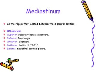 Mediastinum
Is the regoin that located between the 2 pleural cavities.
BOundries:
Superior: superior thoracic aperture.
Inferior: Diaphragm.
Anterior: Sternum.
Posterior: bodies of T1-T12.
Lateral: medistinal pariteal pleura.
 