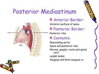 Posterior Mediastinum
Anterior Border:
Anterior surface of spine.
Posterior Border:
Posterior ribs.
Contents:
Descending aorta.
Spine and posterior ribs.
Nerves, ganglia, roots and spinal
cord.
Lymph nodes.
Azygous and hemi-azygous vv.
 