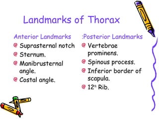Landmarks of Thorax
Anterior Landmarks
Suprasternal notch
Sternum.
Manibrusternal
angle.
Costal angle.
Posterior Landmarks:
Vertebrae
prominens.
Spinous process.
Inferior border of
scapula.
12th
Rib.
 
