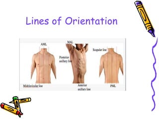 Lines of Orientation
 