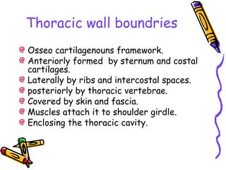 Thoracic wall boundries
Osseo cartilagenouns framework.
Anteriorly formed by sternum and costal
cartilages.
Laterally by ribs and intercostal spaces.
posteriorly by thoracic vertebrae.
Covered by skin and fascia.
Muscles attach it to shoulder girdle.
Enclosing the thoracic cavity.
 