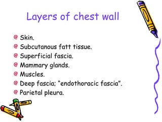 Layers of chest wall
Skin.
Subcutanous fatt tissue.
Superficial fascia.
Mammary glands.
Muscles.
Deep fascia; “endothoracic fascia”.
Parietal pleura.
 