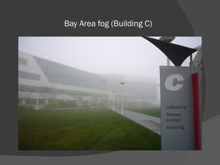 Bay Area fog (Building C)
 