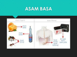 ASAM BASA
 