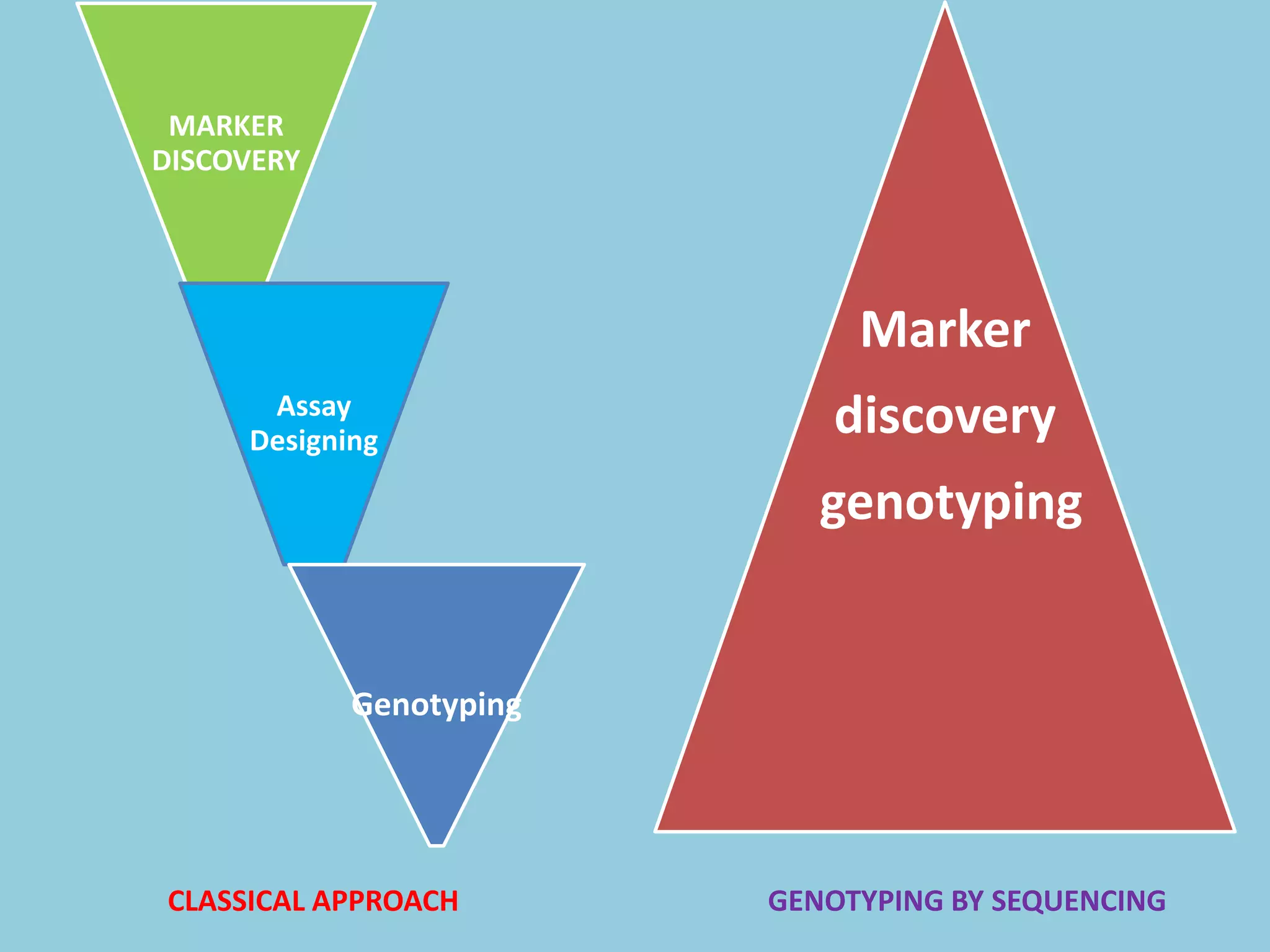 MARKER
DISCOVERY
Assay
Designing
Genotyping
Marker
discovery
genotyping
CLASSICAL APPROACH GENOTYPING BY SEQUENCING
 