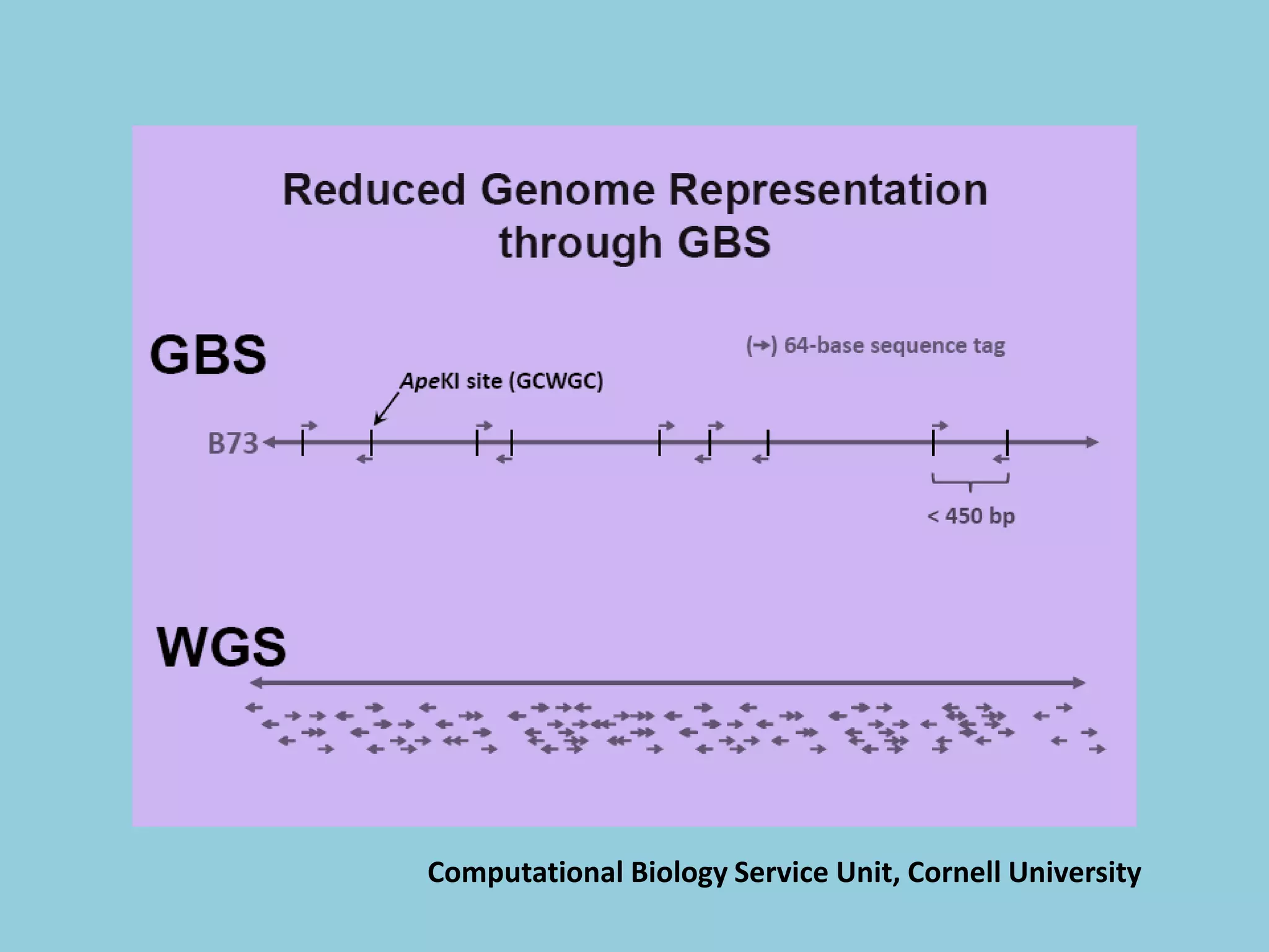 Computational Biology Service Unit, Cornell University
 