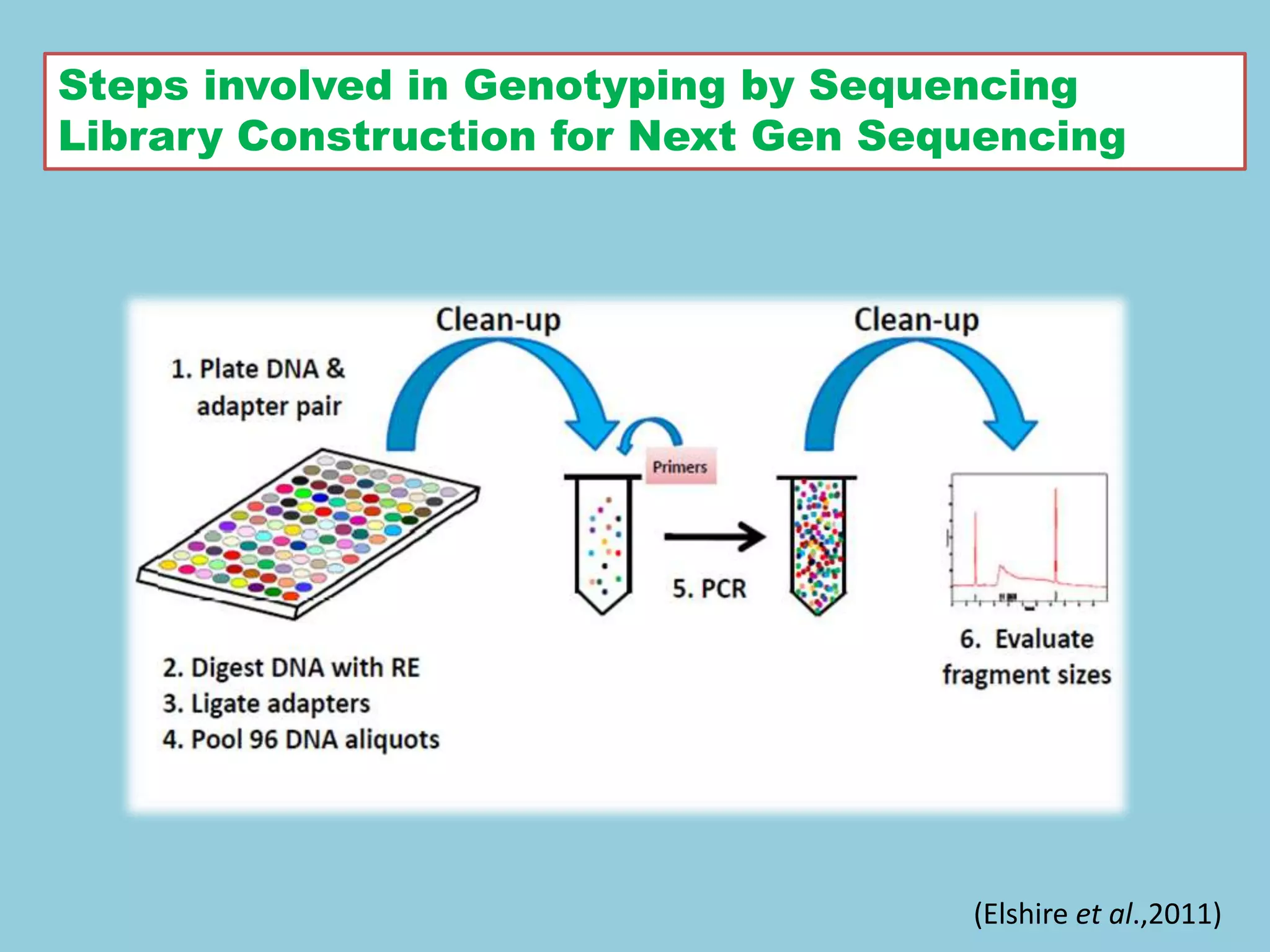 Steps involved in Genotyping by Sequencing
Library Construction for Next Gen Sequencing
(Elshire et al.,2011)
 