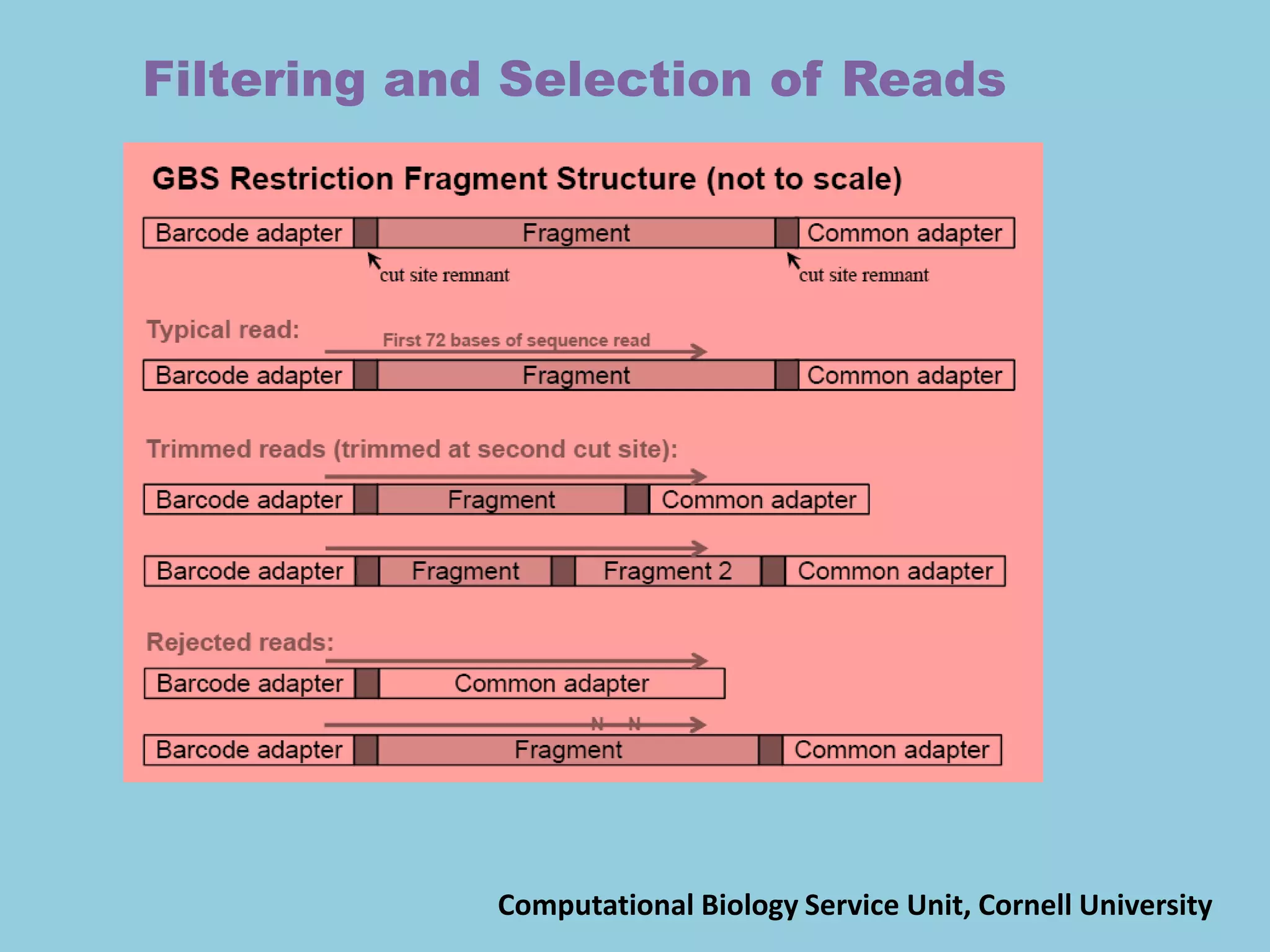 Filtering and Selection of Reads
Computational Biology Service Unit, Cornell University
 