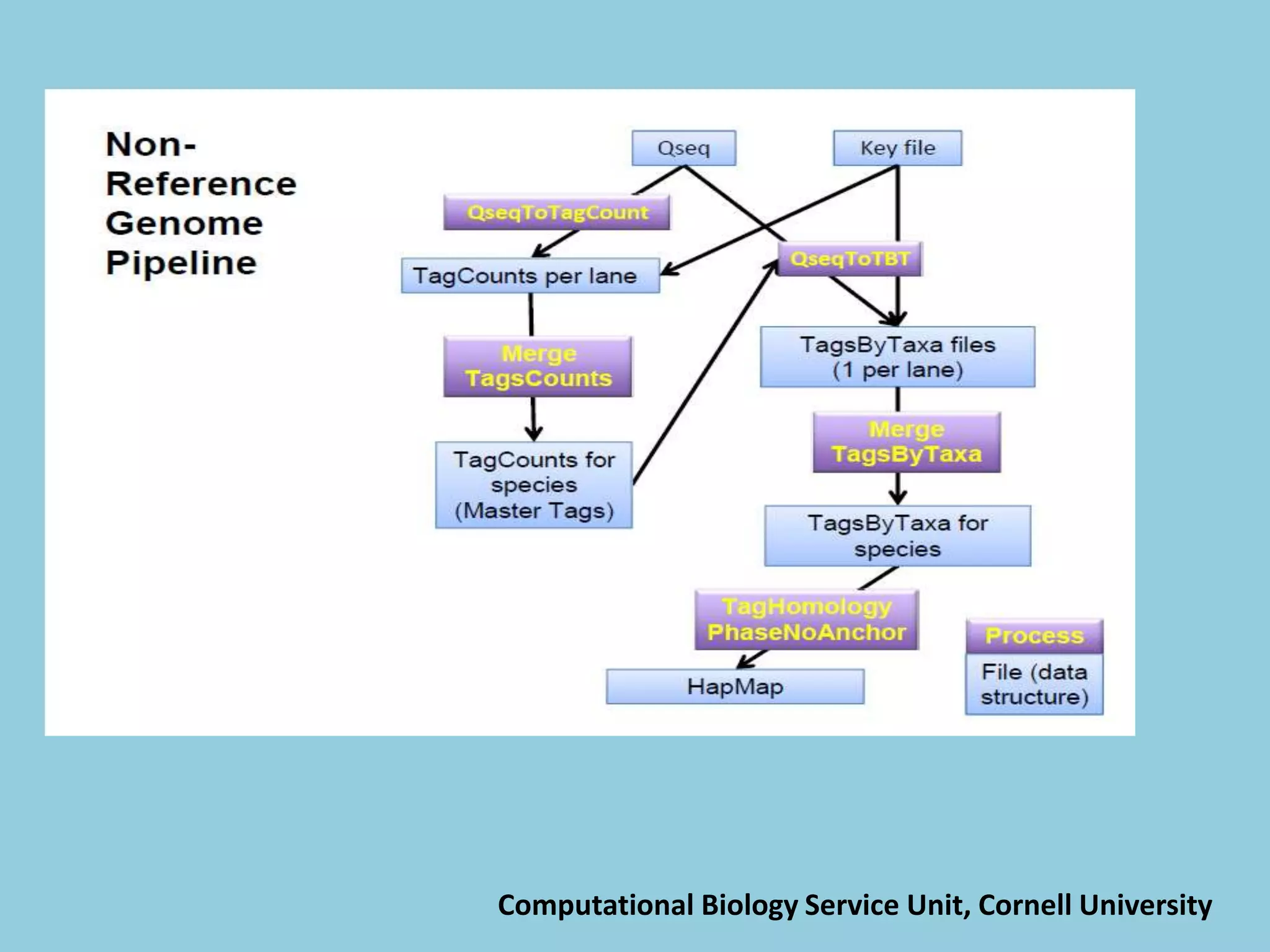 Computational Biology Service Unit, Cornell University
 